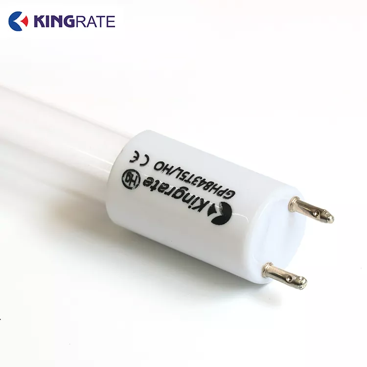 Yüksek Enerjili Çift Bantlı UV Lambası